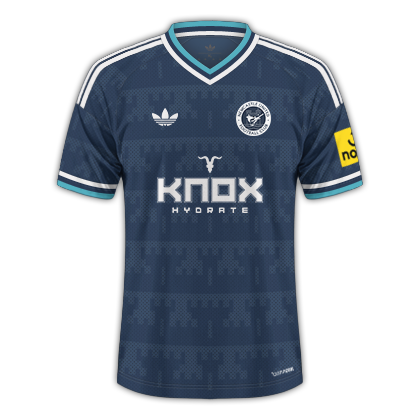 Newcastle United away kit