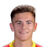 P_Struijk